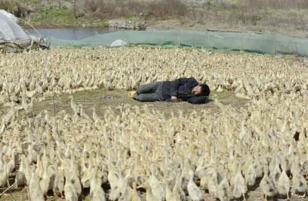 Klyker Picdump #2000 (45 photos)