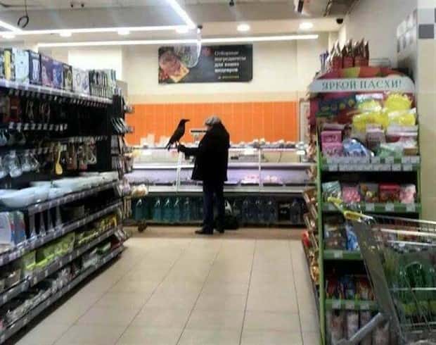Klyker Picdump #2000 (45 photos)