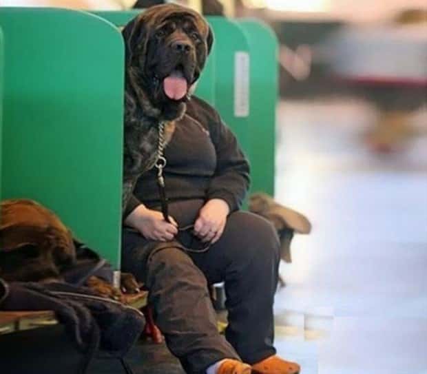 look twice 12 Look Twice, Trust Me #27 (20 photos)
