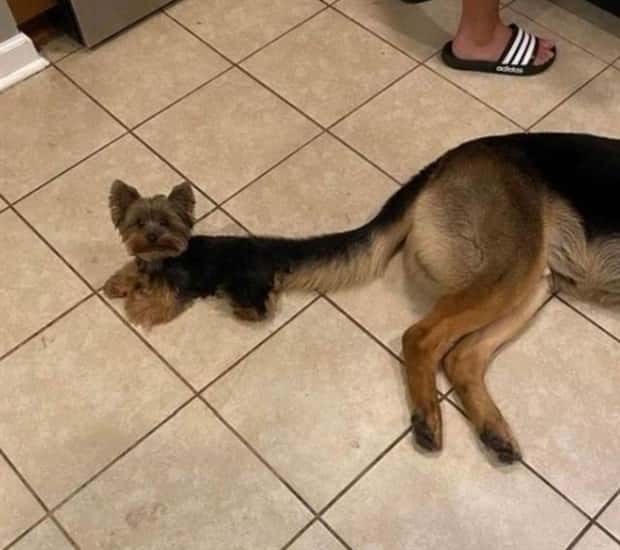 look twice 14 Look Twice, Trust Me #27 (20 photos)