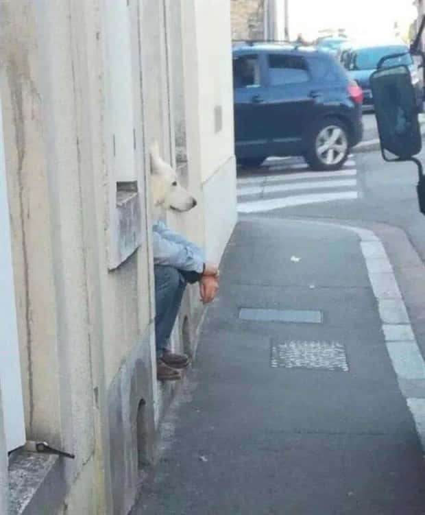 look twice 20 Look Twice, Trust Me #27 (20 photos)