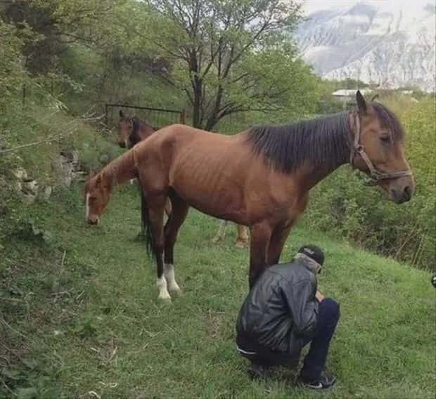 look twice 5 Look Twice, Trust Me #27 (20 photos)