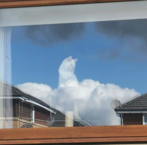 look twice 7 Look Twice, Trust Me #27 (20 photos)