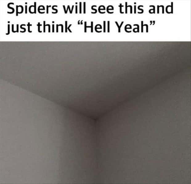 Funny Pics and Memes to Make You Laugh #213 (22 photos)