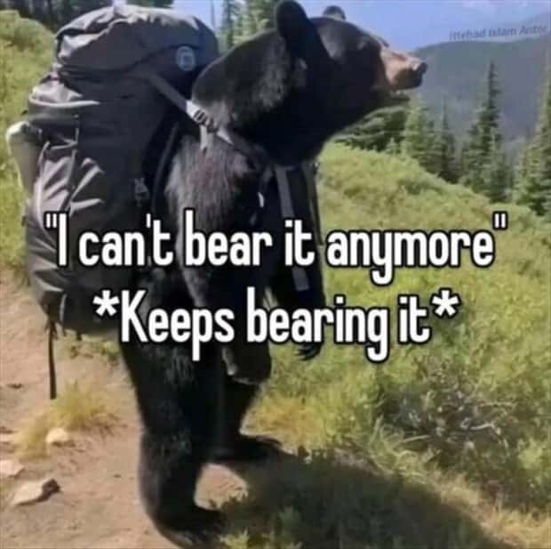Funny Pics and Memes to Make You Laugh #213 (22 photos)