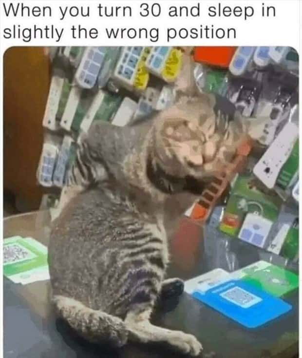 Funny Pics and Memes to Make You Laugh #213 (22 photos)