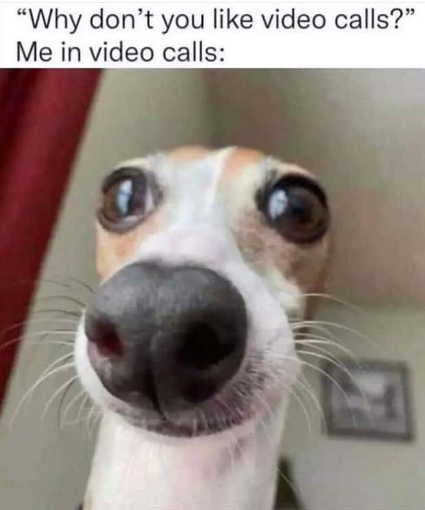 Funny Pics and Memes to Make You Laugh #213 (22 photos)