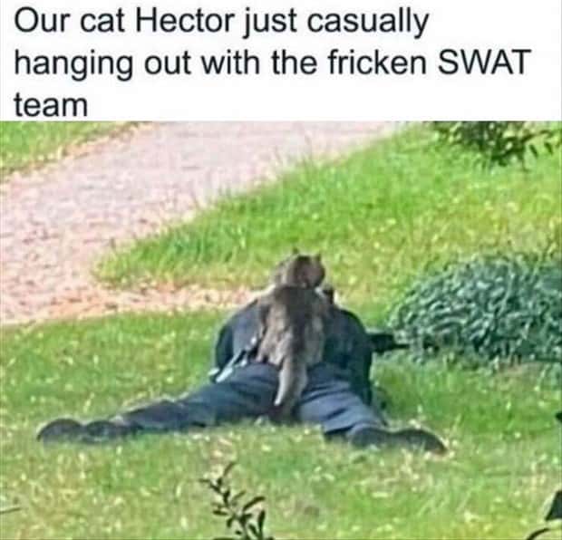 Funny Pics and Memes to Make You Laugh #213 (22 photos)