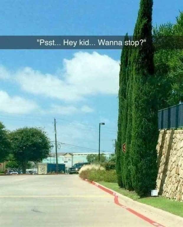Funny Pics and Memes to Make You Laugh #213 (22 photos)