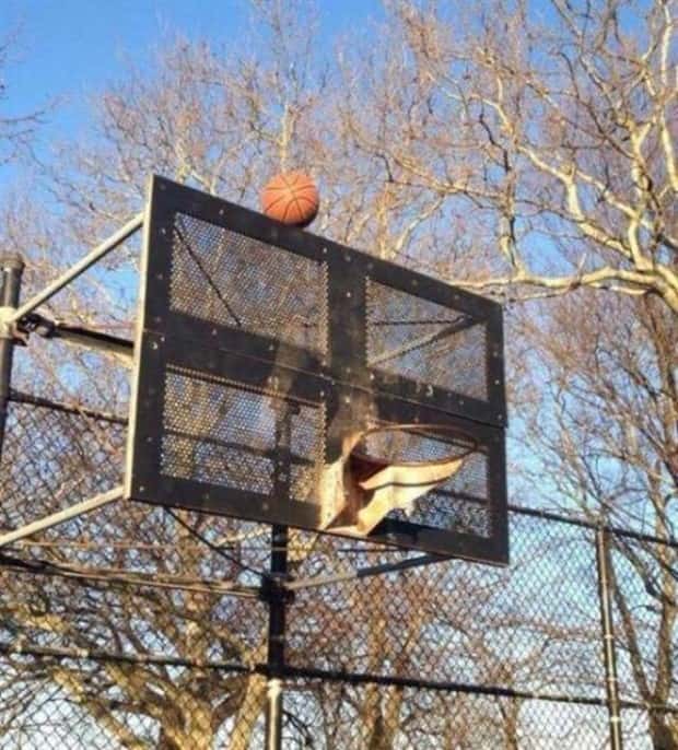 oh shit situations 1 Shit Happens Regularly, Get Used To It #384 (20 photos)