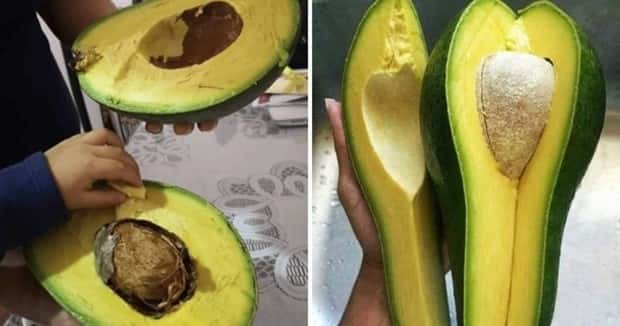 Extreme Sized Food That Stands (20 photos)