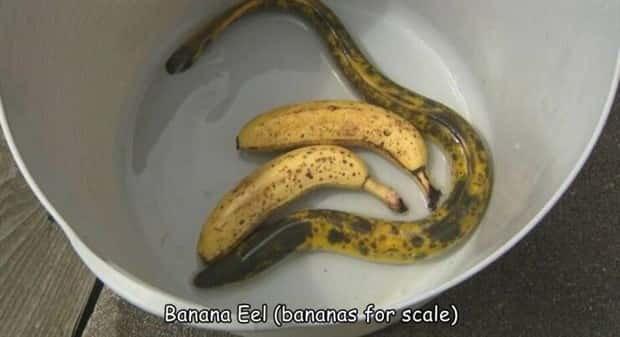 Interesting Pictures with Captions #213 (17 photos)