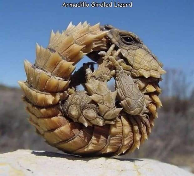 pictures with captions 16 2 Interesting Pictures with Captions #212 (19 photos)