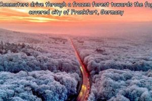 Interesting Pictures with Captions #211 (20 photos)
