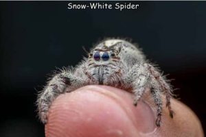 Interesting Pictures with Captions #210 (18 photos)