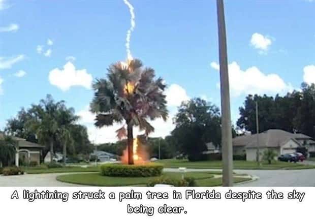 Interesting Pictures with Captions #210 (18 photos)