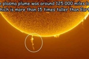 Interesting Pictures with Captions #212 (19 photos)