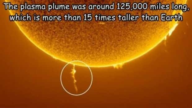 pictures with captions 5 2 Interesting Pictures with Captions #212 (19 photos)