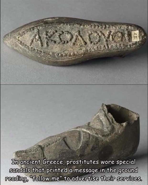 pictures with captions 7 2 Interesting Pictures with Captions #212 (19 photos)