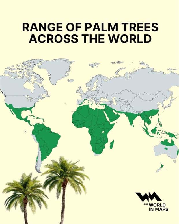 Charts and Maps with Intriguing Data #211 (19 photos)