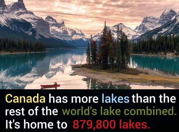 Cool and Interesting Facts #488 (24 photos)