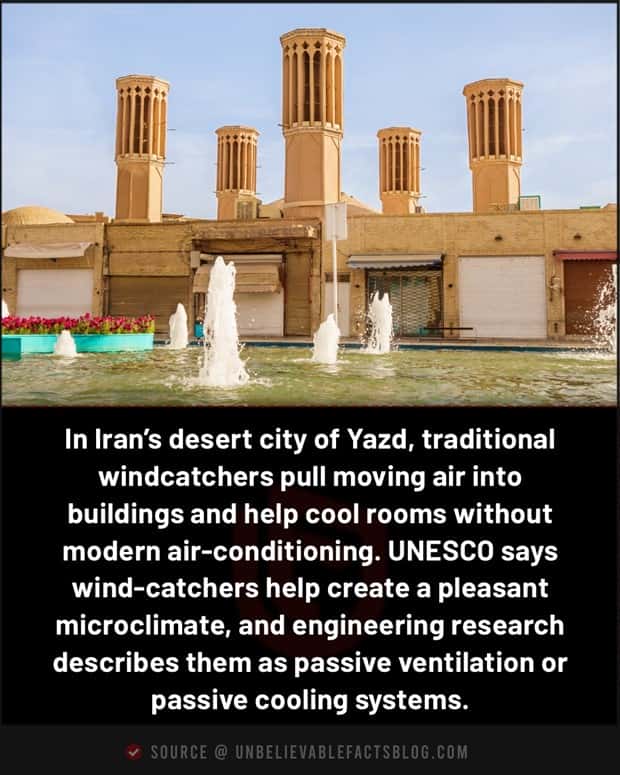 Cool and Interesting Facts #488 (24 photos)