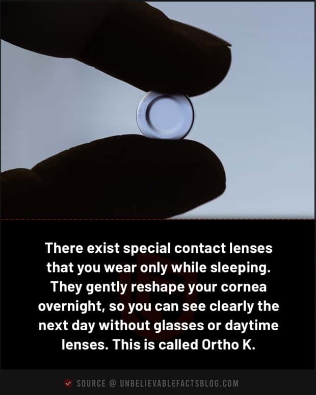 Cool and Interesting Facts #488 (24 photos)