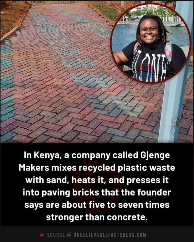 Cool and Interesting Facts #488 (24 photos)