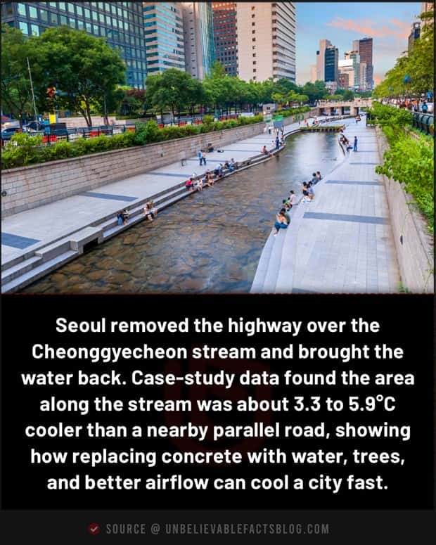 Cool and Interesting Facts #488 (24 photos)