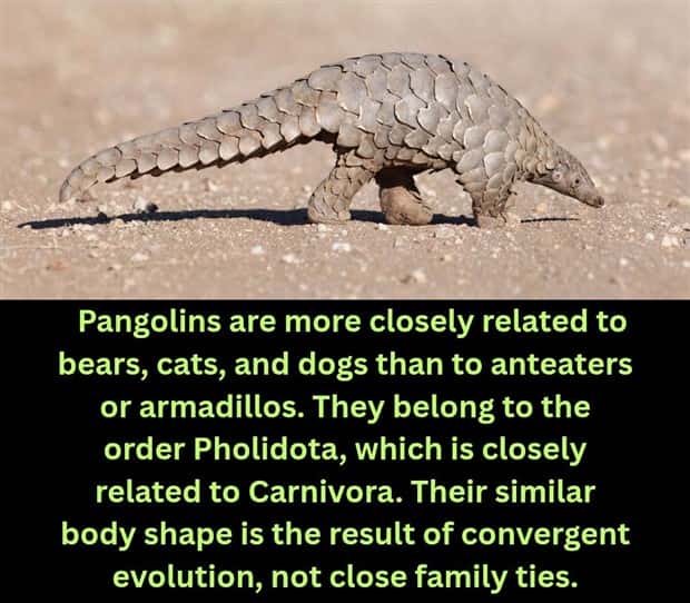 random facts 12 Cool and Interesting Facts #485 (19 photos)
