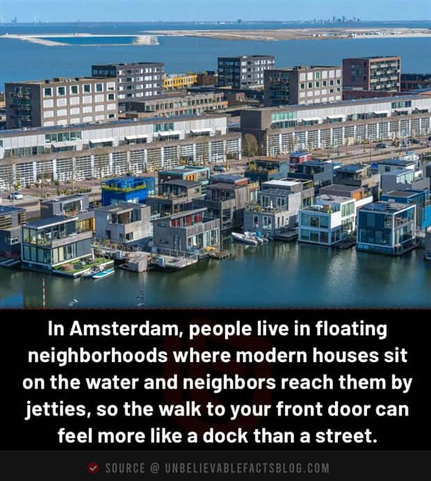 Cool and Interesting Facts #487 (21 photos)