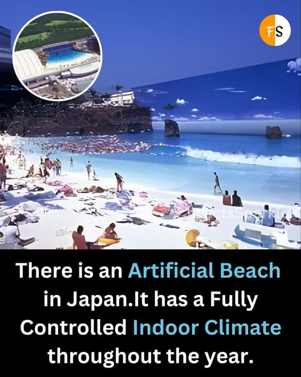 random facts 15 Cool and Interesting Facts #485 (19 photos)