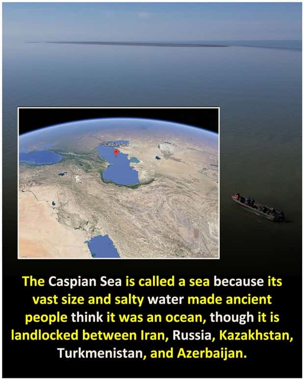 Cool and Interesting Facts #487 (21 photos)