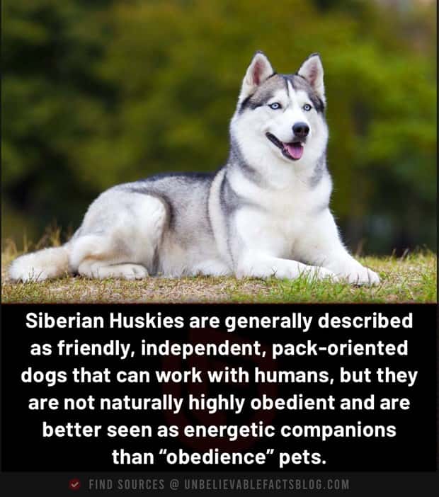 random facts 18 Cool and Interesting Facts #485 (19 photos)