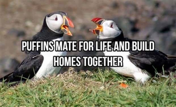 random facts 19 Cool and Interesting Facts #485 (19 photos)