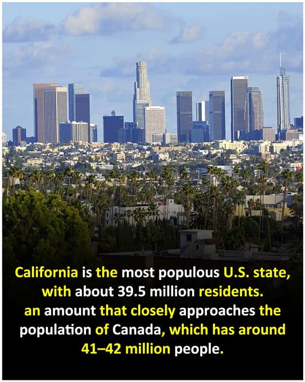Cool and Interesting Facts #487 (21 photos)