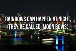 Cool and Interesting Facts #487 (21 photos)