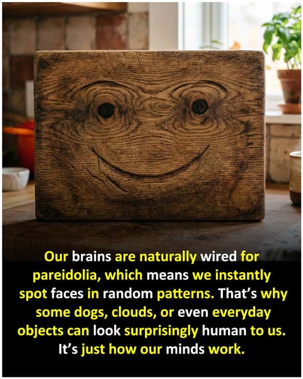random facts 4 Cool and Interesting Facts #485 (19 photos)