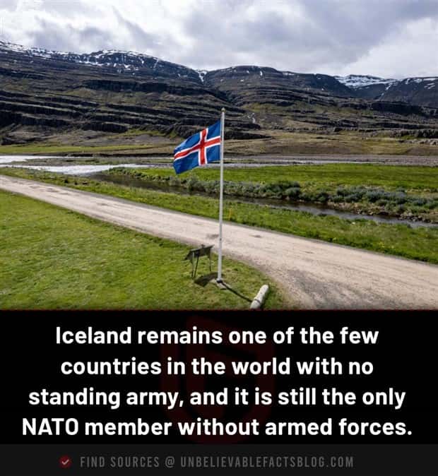 Cool and Interesting Facts #487 (21 photos)