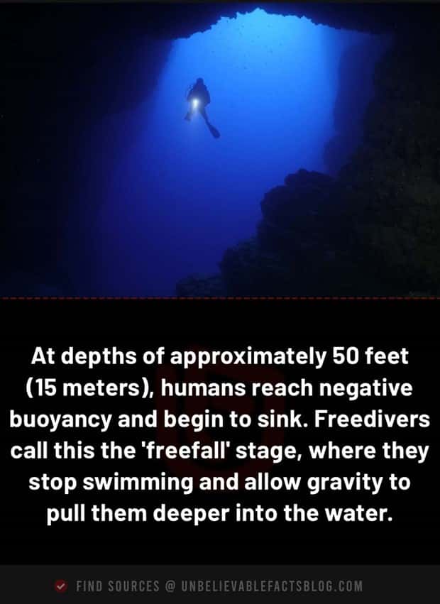 Cool and Interesting Facts #487 (21 photos)