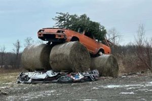 Weird Truck Builds Straight from Redneck Country (24 photos)