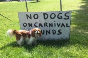 Rules Are Just Suggestions For Them (22 photos)