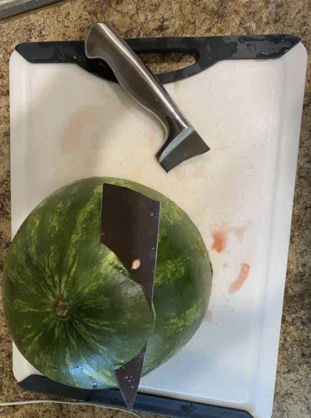 Shit Happens Regularly, Get Used To It #387 (19 photos)