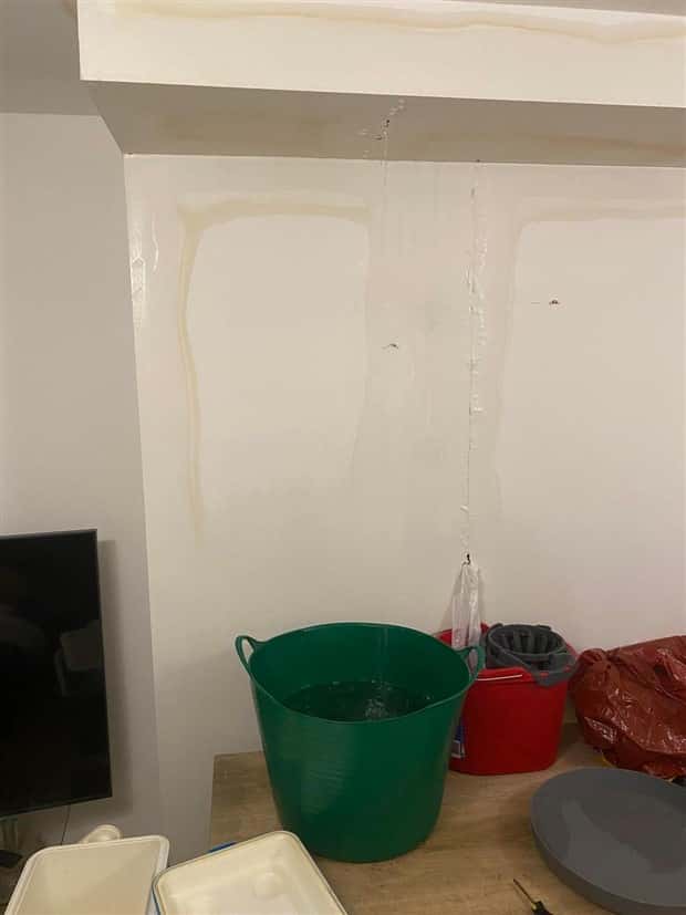 Shit Happens Regularly, Get Used To It #387 (19 photos)