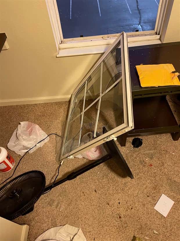 Shit Happens Regularly, Get Used To It #383 (22 photos)