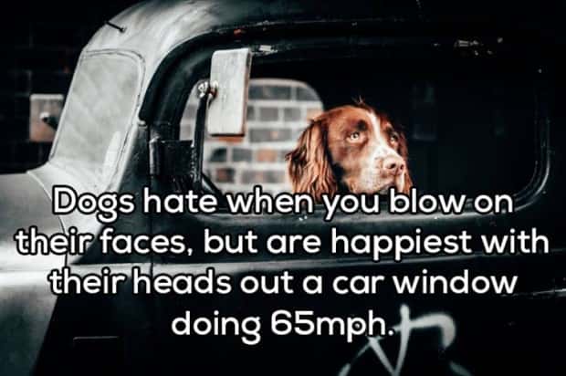 shower thoughts 16 Funny Shower Thoughts That Sound Smart #210 (18 photos)
