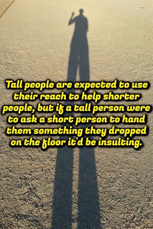Funny Shower Thoughts That Sound Smart #211 (23 photos)