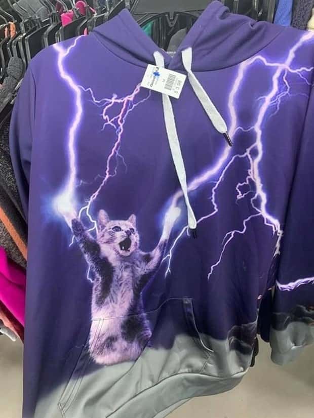 Strange Things Found in Thrift Stores #35 (19 photos)