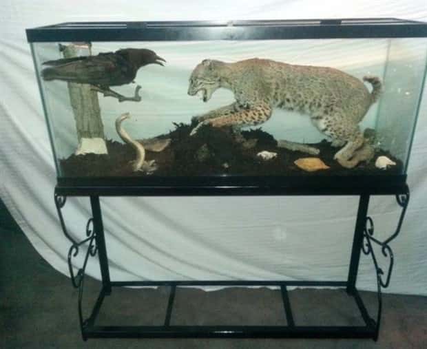 Strange Things Found in Thrift Stores #35 (19 photos)