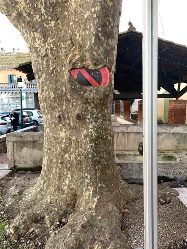 Trees That Secretly Collected Random Stuff (21 photos)